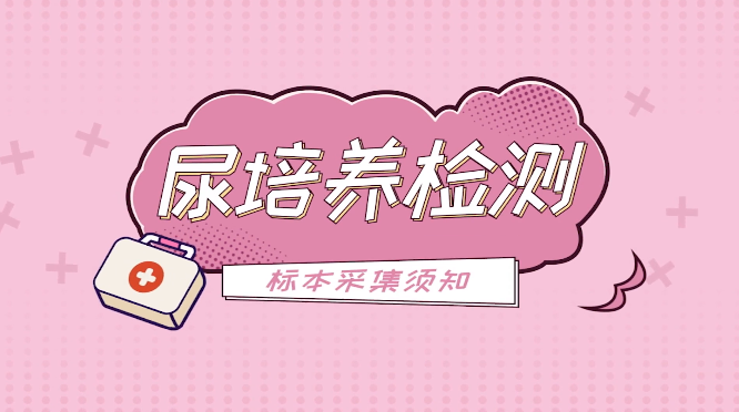 视频教程在手中，就医检查不迷惑——【尿培养检测】攻略