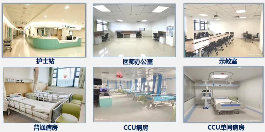 【普爱专科巡礼】省级临床重点专科心血管内科：主攻“心问题” 擦亮“金招牌”